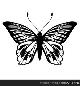 Vector Illustration of detailed butterfly silhouette.