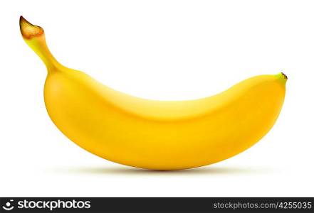 Vector illustration of detailed shiny yellow banana