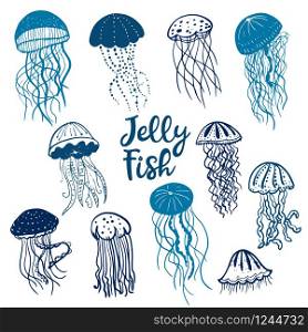 Vector illustration of different silhouettes jellyfish on white. Vector illustration of different blue silhouettes jellyfish