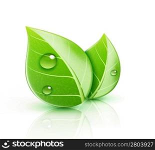 Vector illustration of ecology concept icon with glossy green leaves