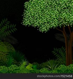 Vector illustration of Exotic tropical forest