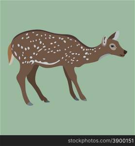 Vector illustration of female deer on green background
