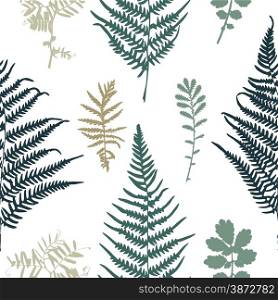 Vector illustration of fern seamless pattern