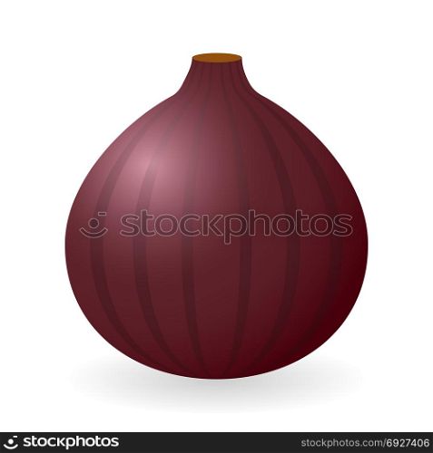 Vector illustration of fig isolated on white background. Fig vector isolated