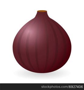 Vector illustration of fig isolated on white background. Fig vector isolated
