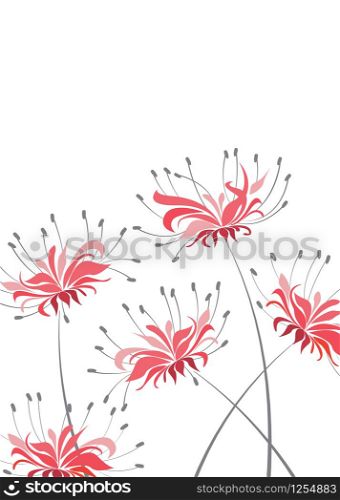 Vector illustration of floral decoration on a white background, red flower Higanbana. Red Flower Higanbana