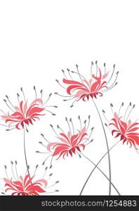 Vector illustration of floral decoration on a white background, red flower Higanbana. Red Flower Higanbana