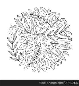 Vector illustration of floral decoration with leaves, hand drawn, natural background. Floral decoration with leaves