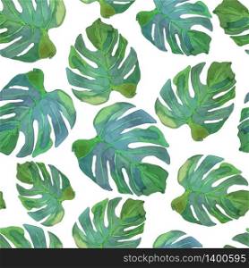 Vector illustration of floral seamless.Green monster leaves on a white background, drawn watercolor.. Vector illustration of floral seamless.Green monster leaves on a