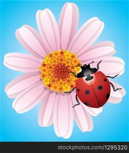 vector illustration of flower and ladybird