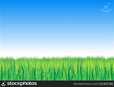 Vector illustration of four highly-detailed separated groups of grass outlines on a gradient blue sky.