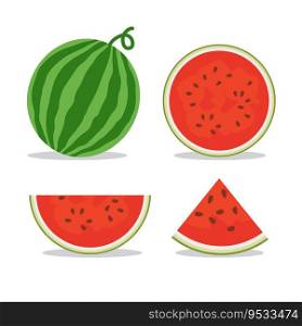 vector illustration of Fresh and juicy whole watermelons and slices