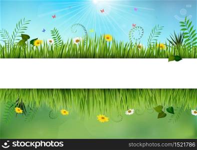 Vector illustration of Fresh spring and daisy borders