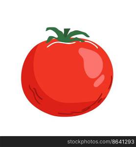 vector illustration of fresh tomato isolated on white.. vector illustration of fresh tomato isolated on white