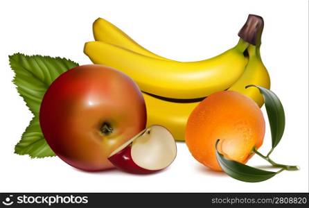 Vector illustration of fruits.