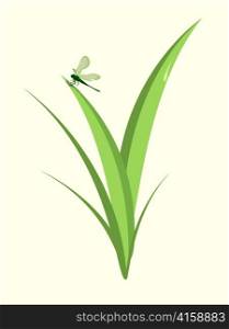 Vector illustration of funky Dragonfly sitting on the green leaf