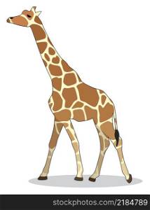 vector illustration of giraffe