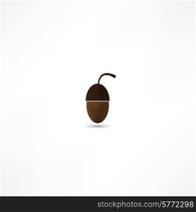 Vector illustration of glossy acorn on white background