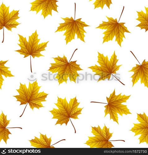 Vector illustration of Golden maple leaves isolated on white background