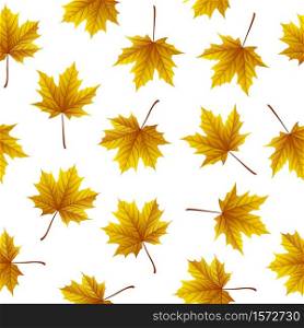 Vector illustration of Golden maple leaves isolated on white background