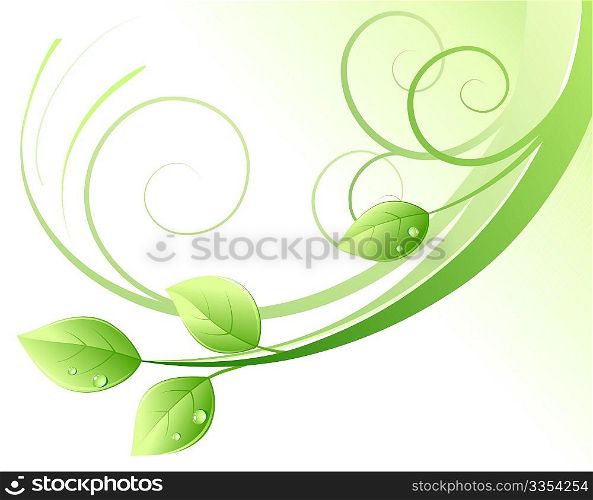 Vector illustration of green abstract background and leaves with water drops