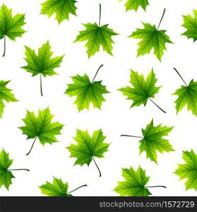 Vector illustration of Green maple leaves isolated on white background