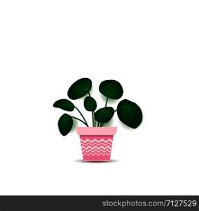 Vector illustration of green plant in flower pot on white background. Green plant in flower pot
