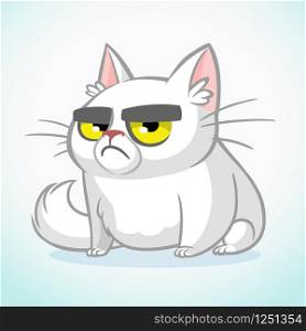 Vector illustration of grumpy white cat. Cute fat cartoon cat with a grumpy expression isolated. Cat icon