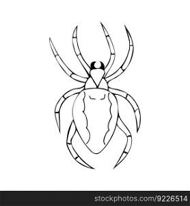 Vector illustration of hand-drawn dark spider. Doodle style vector illustration.. Vector illustration of hand-drawn dark spider. Doodle style vector illustration