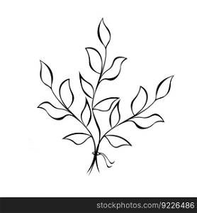 Vector illustration of hand-drawn twigs with leaves.. Vector illustration of hand-drawn twigs with leaves