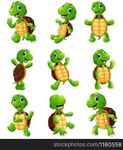 Vector illustration of Happy turtle cartoon collection set