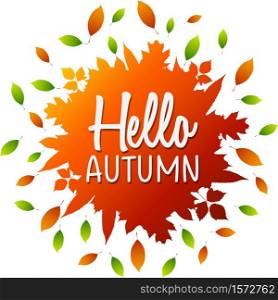 Vector illustration of Hello Autumn lettering on a colorful leaves