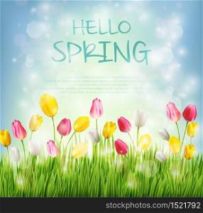 Vector illustration of Hello spring with tulip flower on blurred background