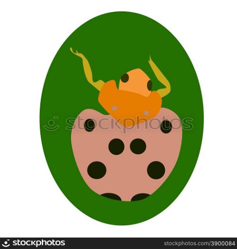 Vector illustration of ladybug on green background