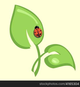 Vector illustration of ladybug sitting on the green leaf