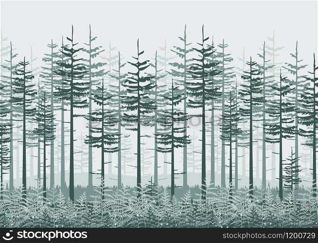 Vector illustration of landscape background with fern forest. Nature background, invitation template with trees, leaf decoration.. Natural background with bracken