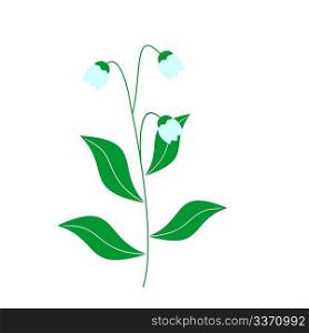 Vector illustration of lily of the valley