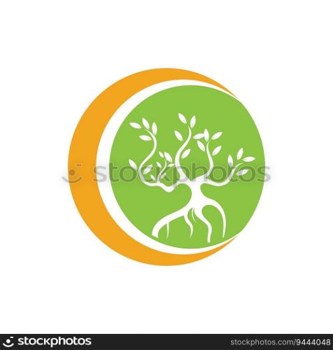 vector illustration of Mangrove trees and mangrove Forest Ecology Logo design