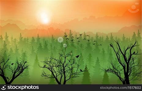 Vector illustration of Mountain forest background at sunset