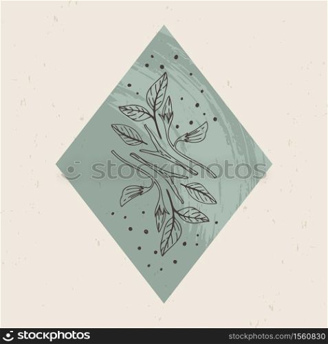 Vector illustration of mystical and esoteric logos in a trendy minimal linear style. Vector emblems in boho style - forest plants