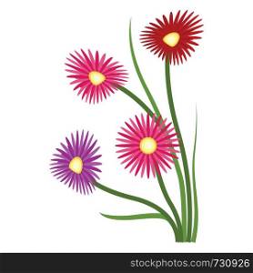 Vector illustration of orange purple and red aster flowers on white background.