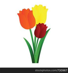 Vector illustration of orange yellow and red tulips with green leafs on white background.