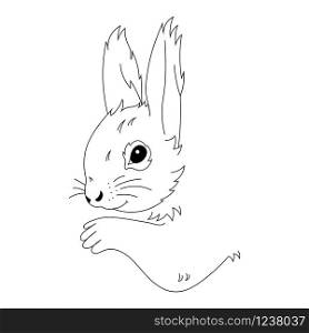 Vector illustration of outline cute squirrel. Coloring book for kids.