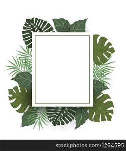 Vector illustration of palm leaf decoration. Exotic tree palm leaf. Natural frame, romantic decoration leaves. Palm leaf decoration