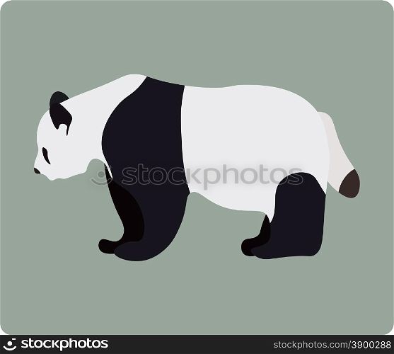 Vector illustration of panda