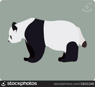 Vector illustration of panda