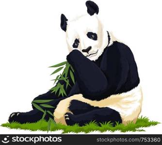 Vector illustration of panda.