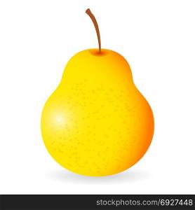 Vector illustration of pear isolated on white background. Pear vector isolated