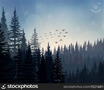 Vector illustration of Pine forest landscape background