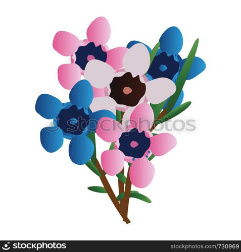 Vector illustration of pink and blue waxflowers with green leafs on a branch white background.